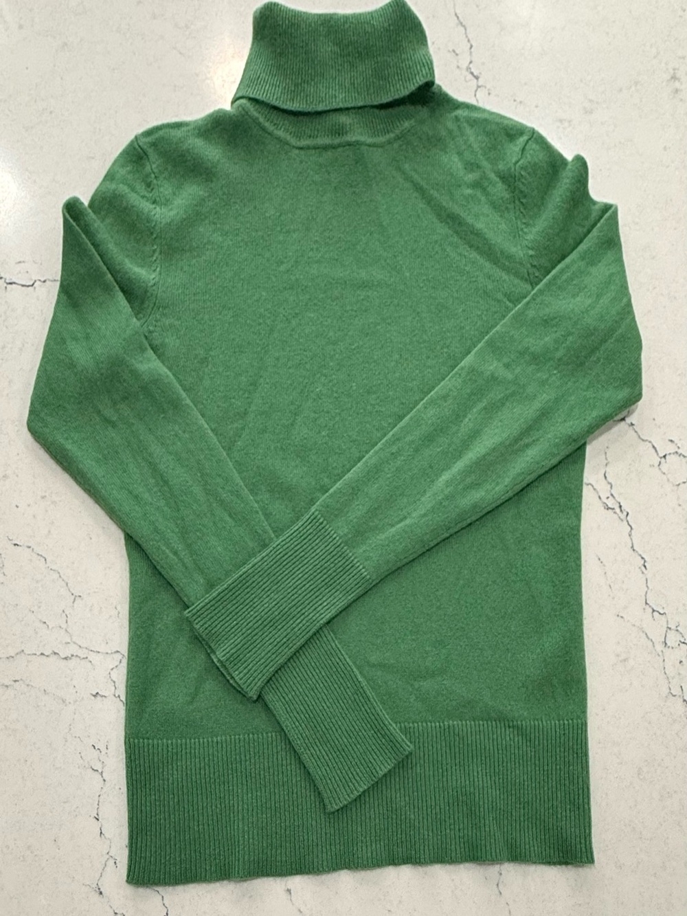 Victor Alfaro 100% Pure Italian Cashmere Turtleneck Sweater Women’s Small Green